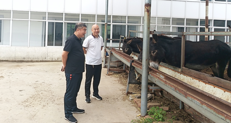 省協(xié)會參訪無極縣大峰家庭農(nóng)場