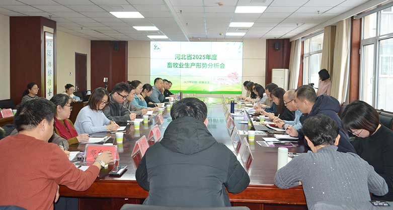 河北省2025年度畜牧業(yè)生產(chǎn)形勢(shì)分析會(huì)在石家莊市召開